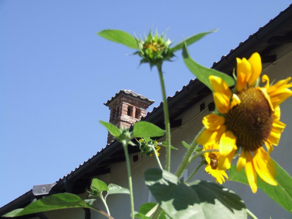 La Meridiana, Monolocale In Cascina Ristrutturata Boves Buitenkant foto